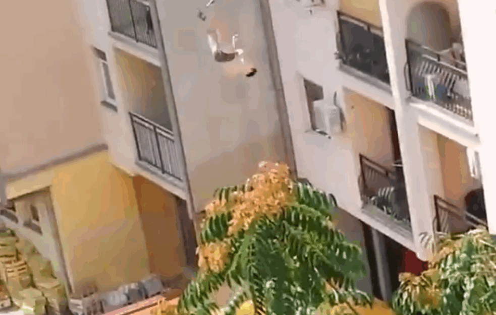 STRAVIČAN SNIMAK! Muškarac u Novom Sadu <span style='color:red;'><b>skočio sa zgrade</b></span> (VIDEO)